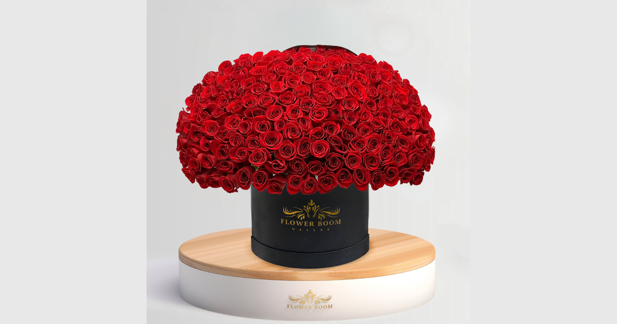 150 Red Roses in a Luxury Box | Same-Day Rose Delivery | Huge Bouquet