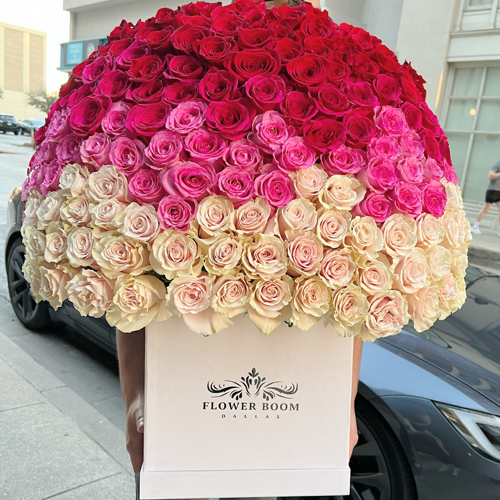 250 Pink Ombre Roses