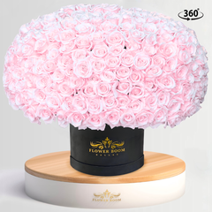 300 light pink roses in a box