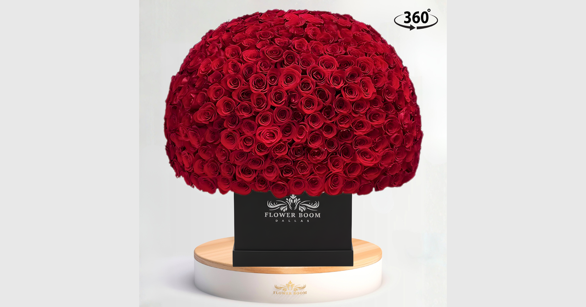 500 Count Roses 500 Red Roses - Huge Rose Box | High-End Dallas Florist
