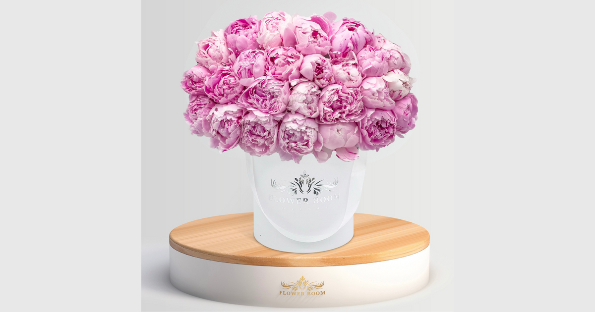 Light Pink Peonies | Flower Bouquet In A Box | By Flower Boom Dallas