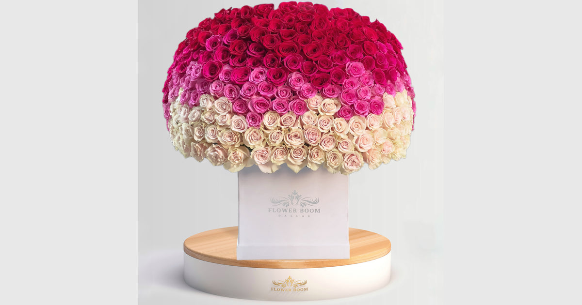 250 Pink Ombre Roses - at Best Price | Flower Boom Dallas