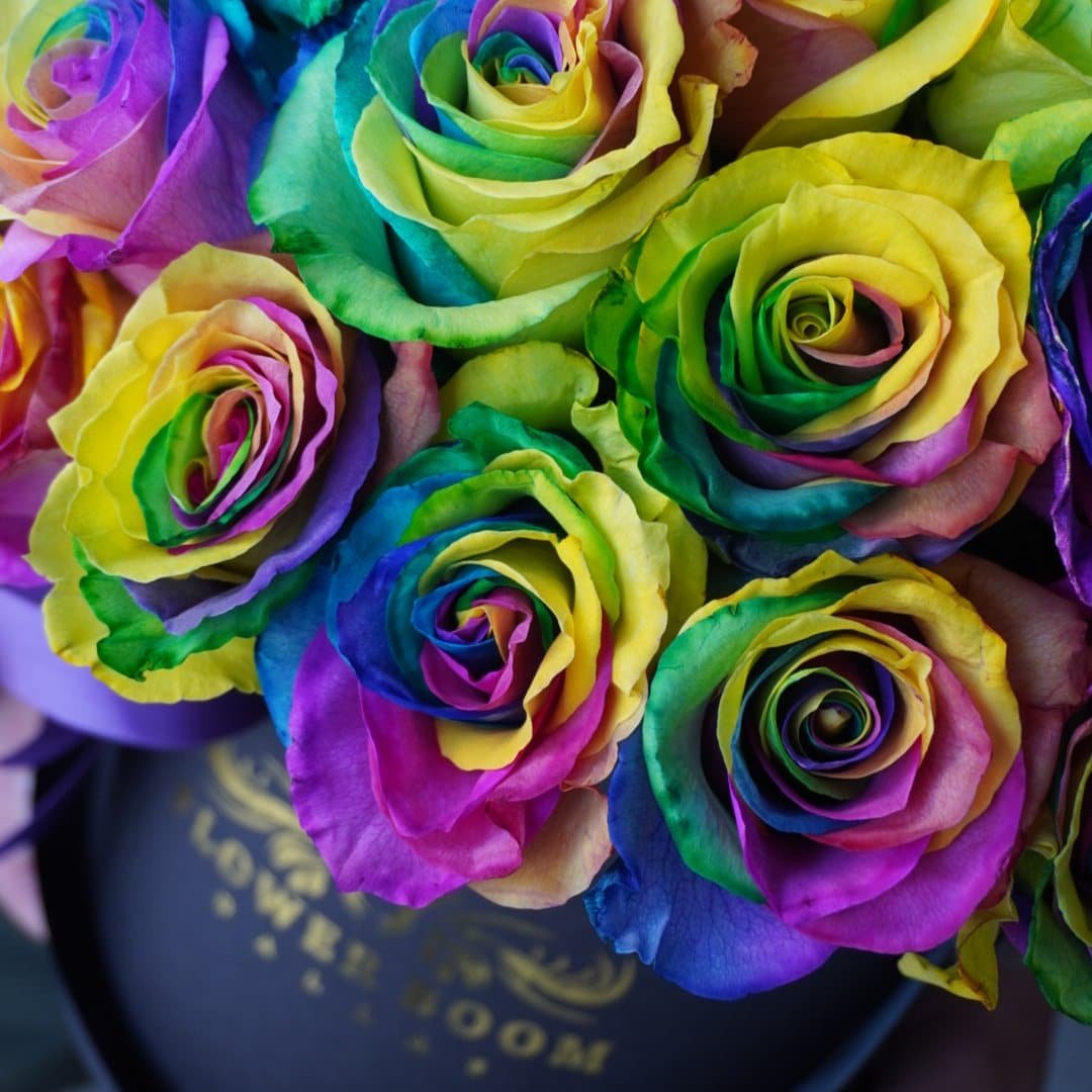 Light Rainbow Roses Rainbow Roses Garden