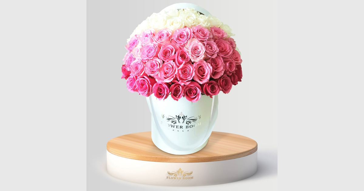 White & Pink Ombre Roses | Beautiful Flowers Delivery Dallas